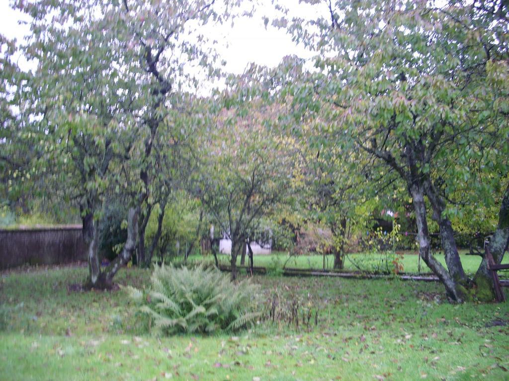 WignehiesLa Demeure Avesnoise住宿加早餐旅馆 外观 照片